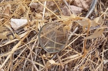 Μεγεθυντικός φακός εντοπίστηκε στον Υμηττό