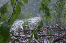 Χαλαζόπτωση (ΦΩΤΟ ΑΡΧΕΙΟΥ) - Στο Έβρο έριξε χαλάζι, την ώρα που πύρινα μέτωπα μαίνονται σε Αττική, Ηλεία, Φωκίδα και Εύβοια