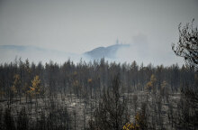 Καμένα στρέμματα από τη φωτιά στην Αττική