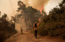 Πυροσβέστες στη βόρεια Εύβοια δίνουν μάχη με τη φωτιά