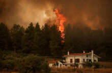 Φωτιά στην Εύβοια - Πολύ υψηλός και σήμερα Σάββατο 7 Αυγούστου 2021 ο κίνδυνος πυρκαγιάς στην Περιφερειακή Ενότητα