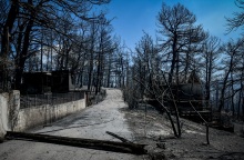 Καμένες εκτάσεις μετά τις φωτιές στη βόρεια Αττική 