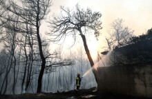 Φωτιά στη Βαρυμπόμπη © EUROKINISSI / ΤΑΤΙΑΝΑ ΜΠΟΛΑΡΗ