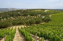 Scalarea Estate, το ιστορικό κτήμα Μπουτάρη στην Κρήτη