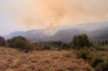 Φωτιά στη Γορτυνία 