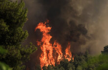 Δασική πυρκαγιά (ΦΩΤΟ ΑΡΧΕΙΟΥ) - Κεραυνός προκάλεσε φωτιά στην Αταλάντη
