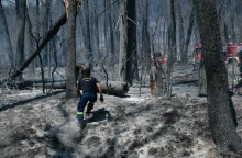 Φωτιά στο Τατόι © EUROKINISSI / ΜΙΧΑΛΗΣ ΚΑΡΑΓΙΑΝΝΗΣ