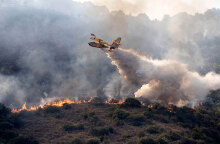 Πυρκαγιές στην Ιταλία: Καναντέρ επιχειρεί σε φωτιά
