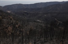 Καμένες εκτάσεις γης μετά τις πυρκαγιές στην Ελλάδα - Εικόνα από τη Βόρεια Εύβοια