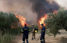 Πυροσβέστες σε δασική πυρκαγιά - Στην Εύβοια η νέα φωτιά που ξέσπασε, οδηγήσε σε προληπτική εκκένωση του οικισμού Μεσοχώρια