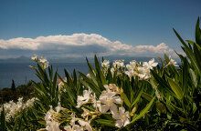 Σύννεφα σε παραλία - Ο καιρός σήμερα Σάββατο 14 Αυγούστου έχει ηλιοφάνεια και βροχές