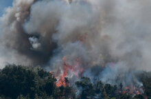 Φωτιά καίει δάσος - Η πυρκαγιά στα Βίλια οδήγησε σε νέα εκκένωση οικισμών