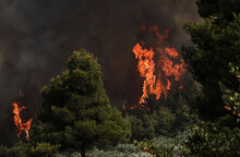 Δασική πυρκαγιά (ΦΩΤΟ ΑΡΧΕΙΟΥ) - Σχηματίστηκε δικογραφία για εμπρησμό σε βάρος 57χρονης στη Ρόδο