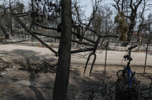 Εικόνες καταστροφής στην Εύβοια μετά τη φωτιά - Στη «Διαύγεια» όλα τα μέτρα για την εργασία