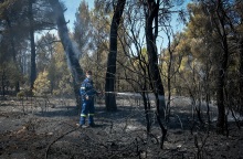 Φωτιά στη Φθιώτιδα © EUROKINISSI