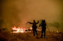 Πυροσβέστες σε δασική πυρκαγιά στα Βίλια - Δεκάδες συλλήψεις τον Αύγουστο για εμπρησμό