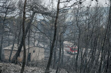 Κτίριο στα καμένα μετά το καταστροφικό πέρασμα της φωτιάς στα Βίλια