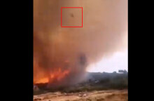 Κορμός δέντρου έχει «εκτοξευτεί» από στρόβιλο φωτιάς στα Βίλια