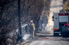 Φωτιά στην Εύβοια