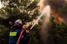 Φωτιά - Στιγμιότυπο από την επιχείρηση κατάσβεσης