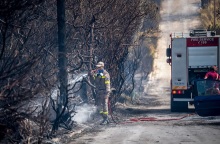 Φωτιά στην Εύβοια