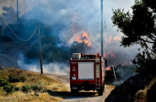 Πυροσβεστικό όχημα σε δασική πυρκαγιά - Ξέσπασε φωτιά στο Δίστομο