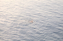 Άνδρας που κάνει μπάνιο στη θάλασσα