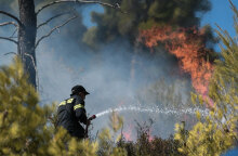 Πυροσβέστης ρίχνει νερό σε δασική πυρκαγιά - Εκδηλώθηκε φωτιά στον Κάλαμο Αττικής