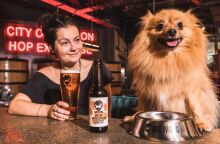 Σκύλος πίνει μπίρα