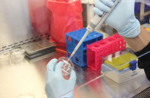 Δοκιμές σε εργαστήριο για τον κορωνοϊό (ΦΩΤΟ ΑΡΧΕΙΟΥ) - Ερευνητές στη Γαλλία αναπτύσσουν ρινικό εμβόλιο κατά της Covid-19