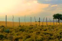 Φωτογραφία στο εξώφυλλο της συλλογής «Ποιήματα» του Ηλία Ευθυμιόπουλου (εκδ. ATHENS VOICE BOOKS)