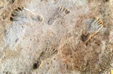 Βρέθηκαν οι αρχαιότερες πατημασιές ανθρώπων στην Αμερική