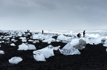 Ριζοσπάστες οικολόγοι και πουριτανοί