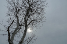 Φωτογραφία στο εξώφυλλο της συλλογής «Ποιήματα» του Ηλία Ευθυμιόπουλου (εκδ. ATHENS VOICE BOOKS)