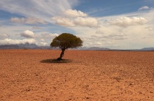 Κλίμα: Τα τελευταία επτά χρόνια θα καταγραφούν ως τα θερμότερα από τότε που κρατούνται αρχεία