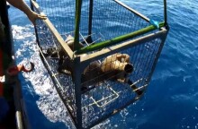 Ναυάγιο ανακαλύφθηκε στα Κύθηρα