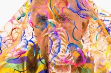 "Shiny", αυτοπορτρέτο του Jimmie Duhram , 2016