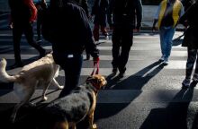 Νέα κρούσματα κορωνοϊού - Πού εντοπίζονται