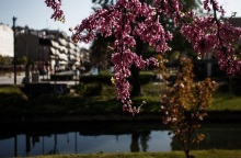 Η πρόγνωση του καιρού