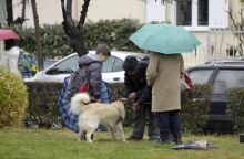 Η πρόγνωση του καιρού