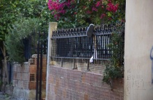 Νεκρή 57χρονη που έπεσε από ταράτσα στο Άργος