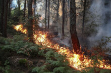 Δασική πυρκαγιά στην Τουρκία