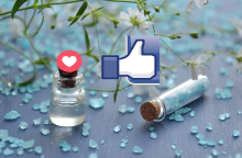 Κορωνοϊός: Πρόπολη, ρακόμελο, εισπνοές ατμού και τσάι ρίγανης...