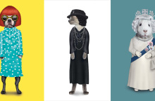 Φωτογραφία από το βιβλίο Pet Rocks των Mark και Kate Polyblank (εκδόσεις TeNeues)