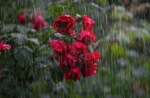 Νέα επιδείνωση καιρού από το απόγευμα της Τρίτης (14/12)