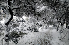 Κακοκαιρία Κάρμελ: Έρχονται ισχυρές καταιγίδες και χιόνια