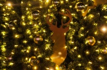 Λεπτομέρεια από χριστουγεννιάτικο δέντρο 