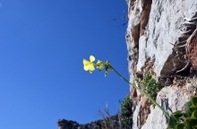 Καιρός: «Ανοιξιάτικες» θερμοκρασίες την Τρίτη