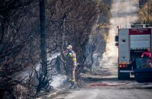 Το 2021 κάηκαν τόσα στρέμματα στην Ελλάδα όσα κατά την οκταετία 2013–2020, σύμφωνα με το meteo του Αστεροσκοπείου	