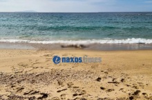 Νάξος: Εντοπίστηκαν πτώματα μικρού παιδιού & γυναίκας σε παραλία